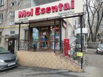 Mol Esentai (Kóktem-1 shaǵyn aýdany, 19), grocery
