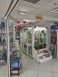 Цветочная лавка (ул. Карпинского, 37, Пенза), магазин цветов в Пензе