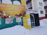 Магазин овощей и фруктов (Studencheskaya Street, 11/1), greengrocery