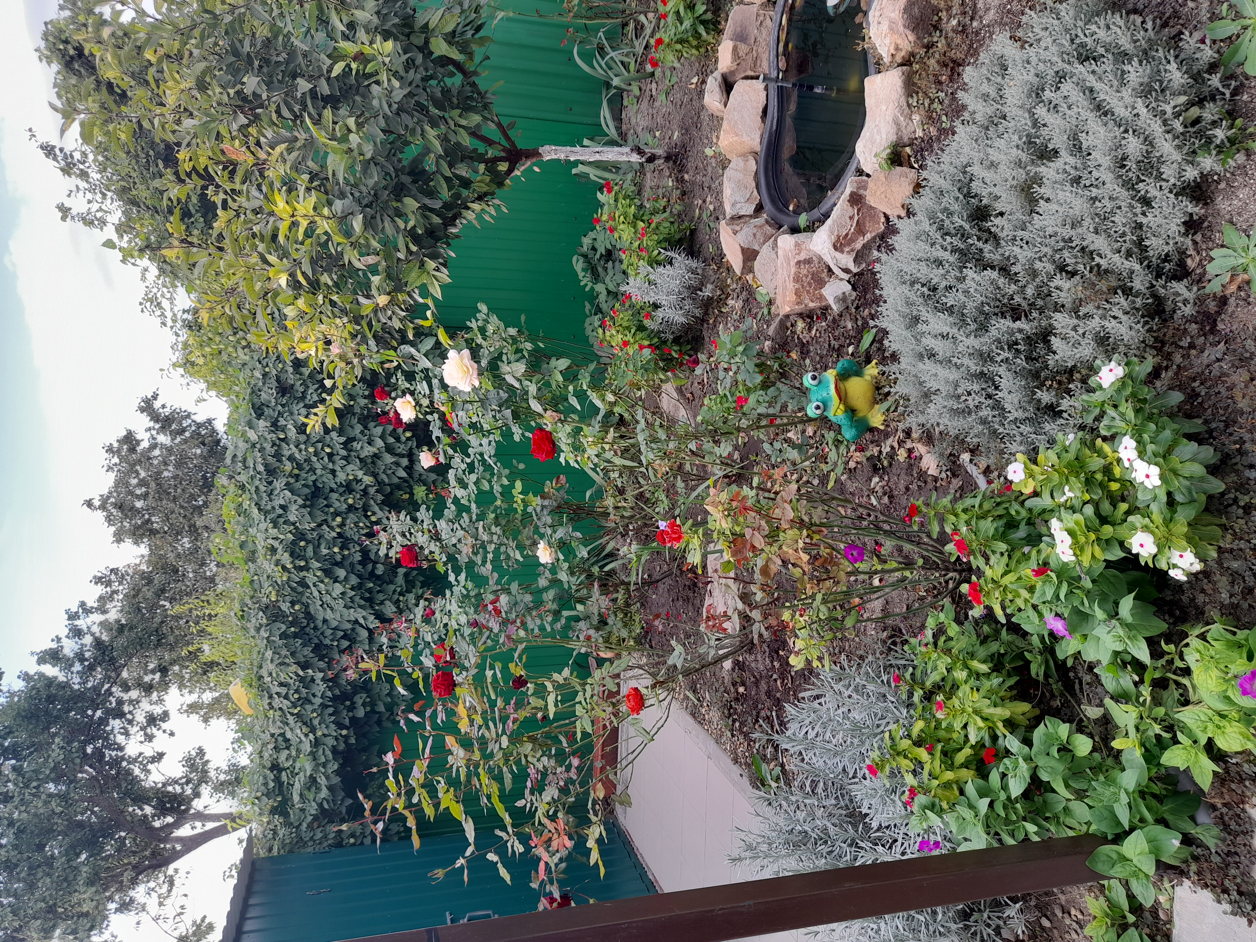 Фото Добрый Дом