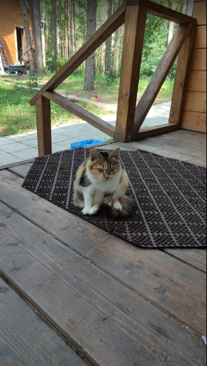 Фото Sherwood Park Hotel