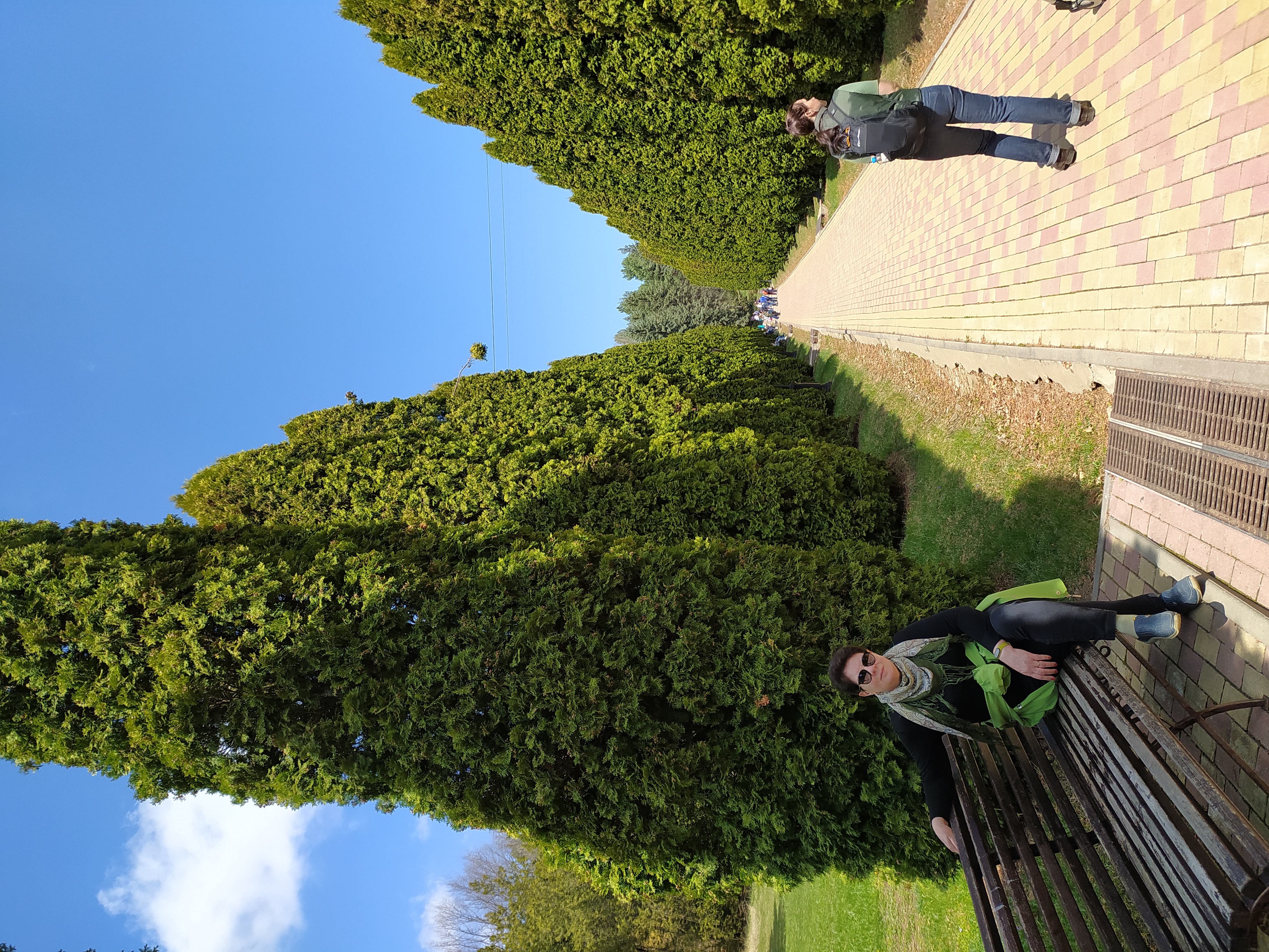 Фото Элорма