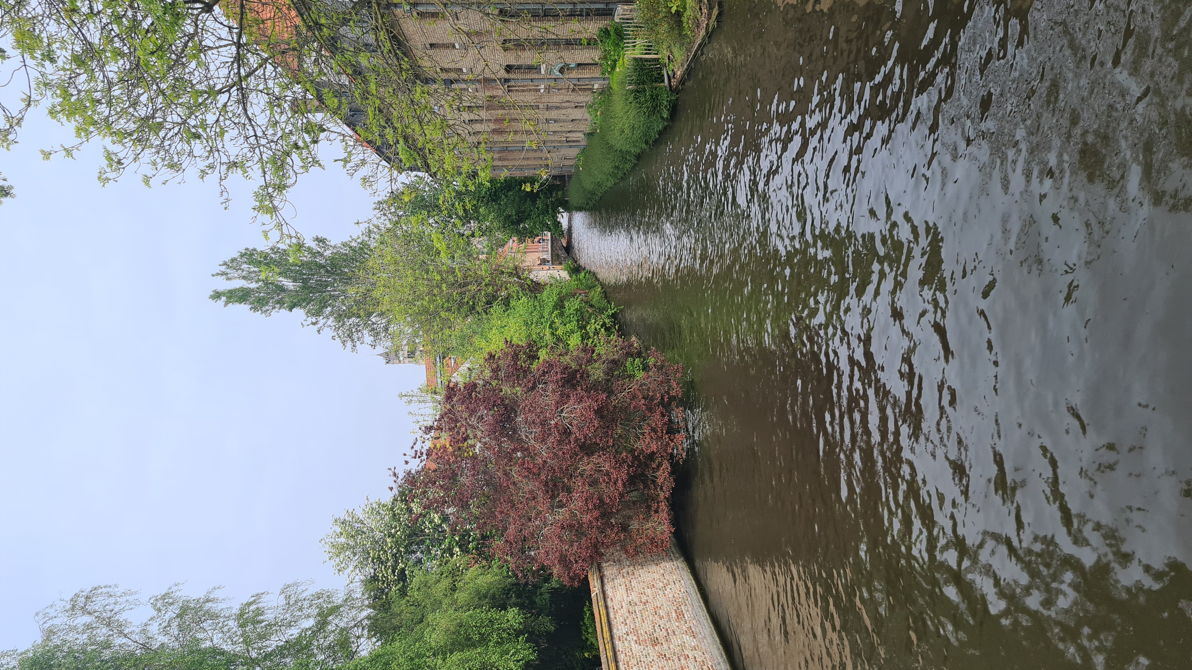 Фото Martin's Brugge