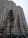 Товары для дома (Vilora Trifonova Street, 1), librería