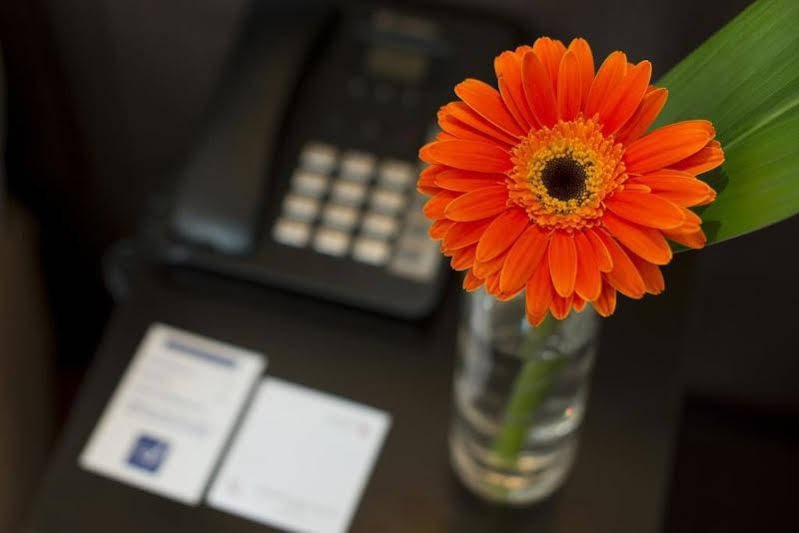 Фото Radisson Red Madrid