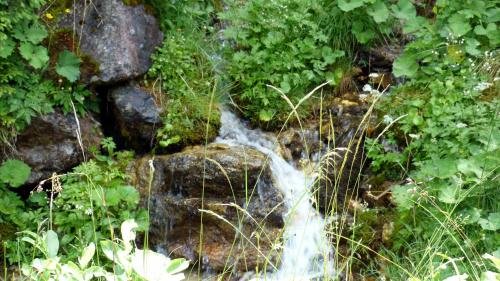Фото Ferienwohnung Brandegg
