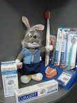 City Dent (Malaya Posadskaya Street, 12В), dental clinic