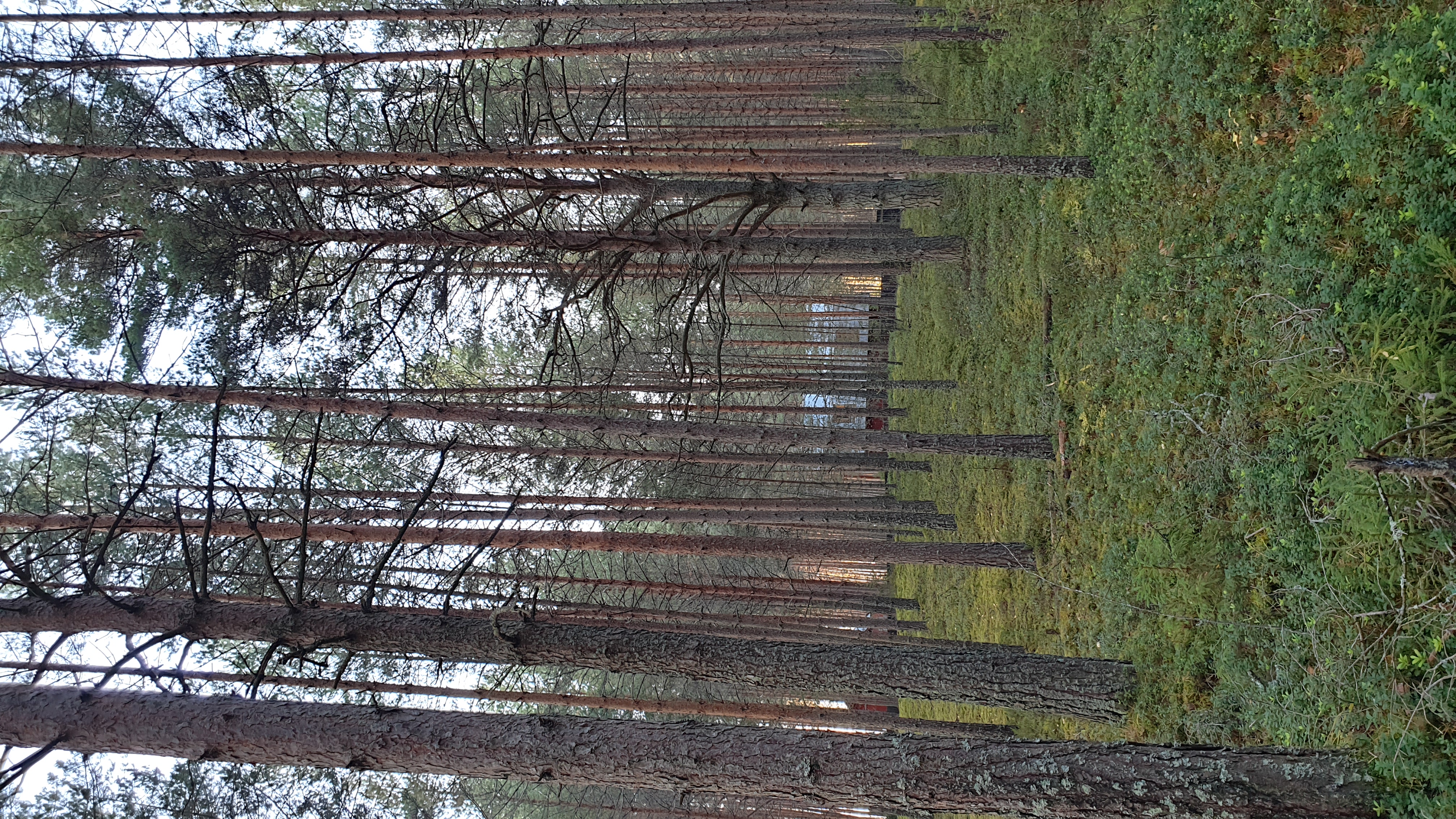 Фото Seliger Wind