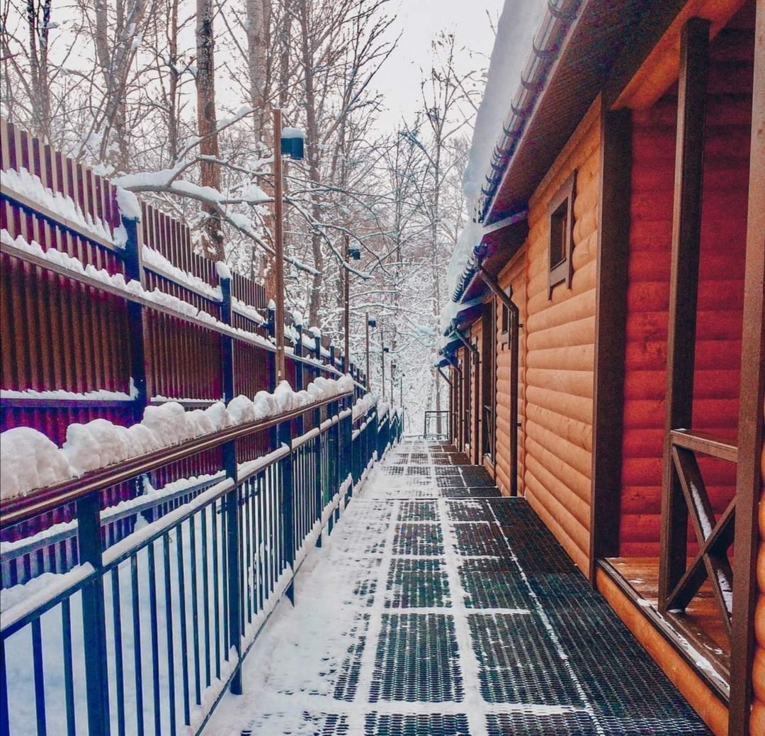 Фото Три медведя