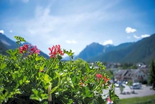 Фото Hotel Condor