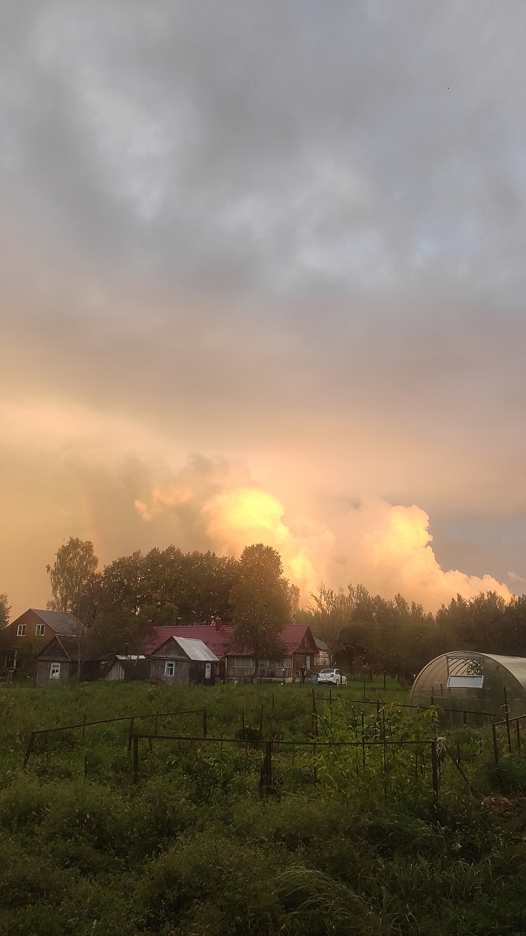 Фото У родника