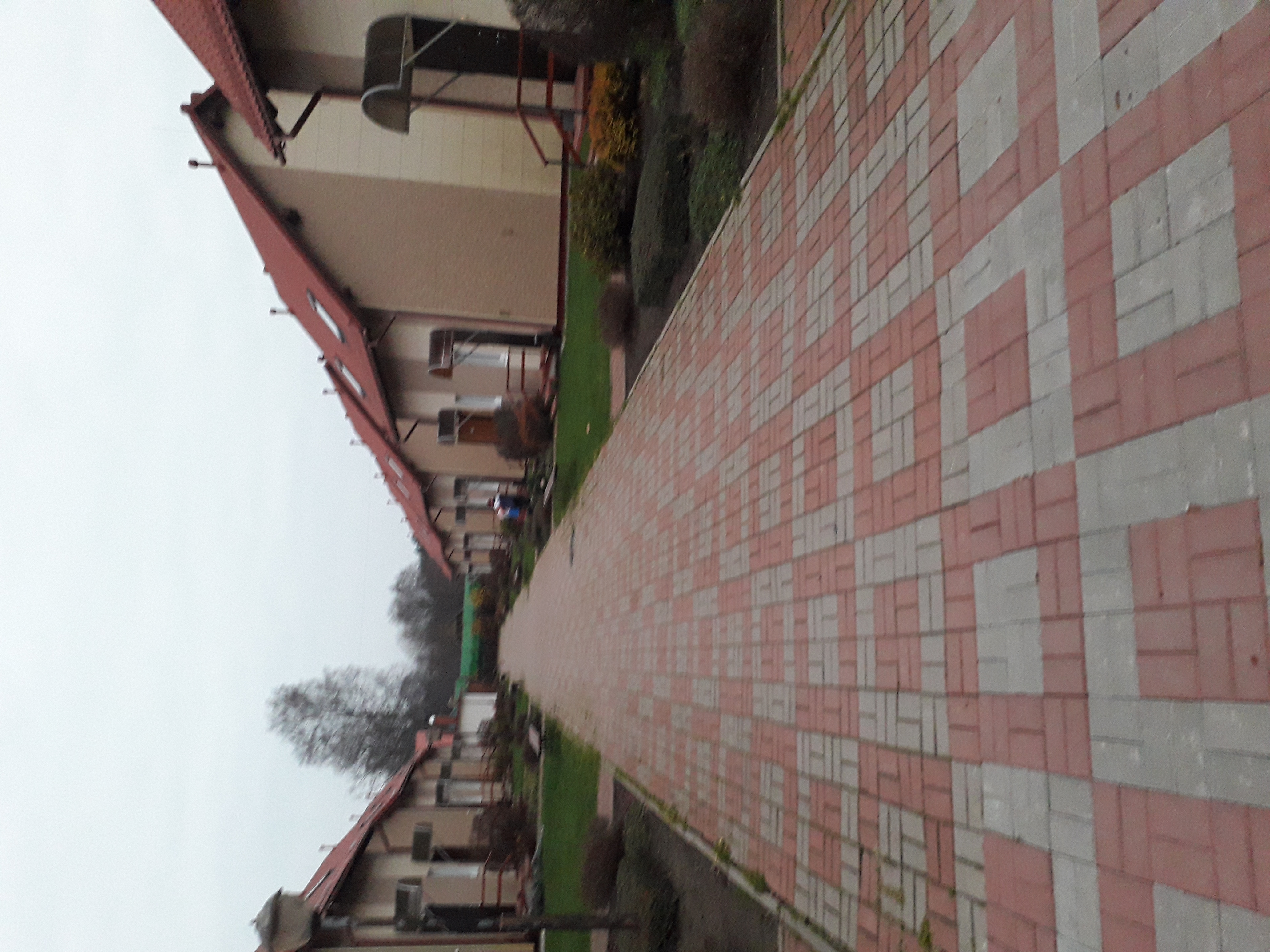 Фото Розовая дача