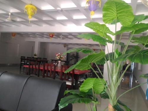 Фото Hotel Greenwood