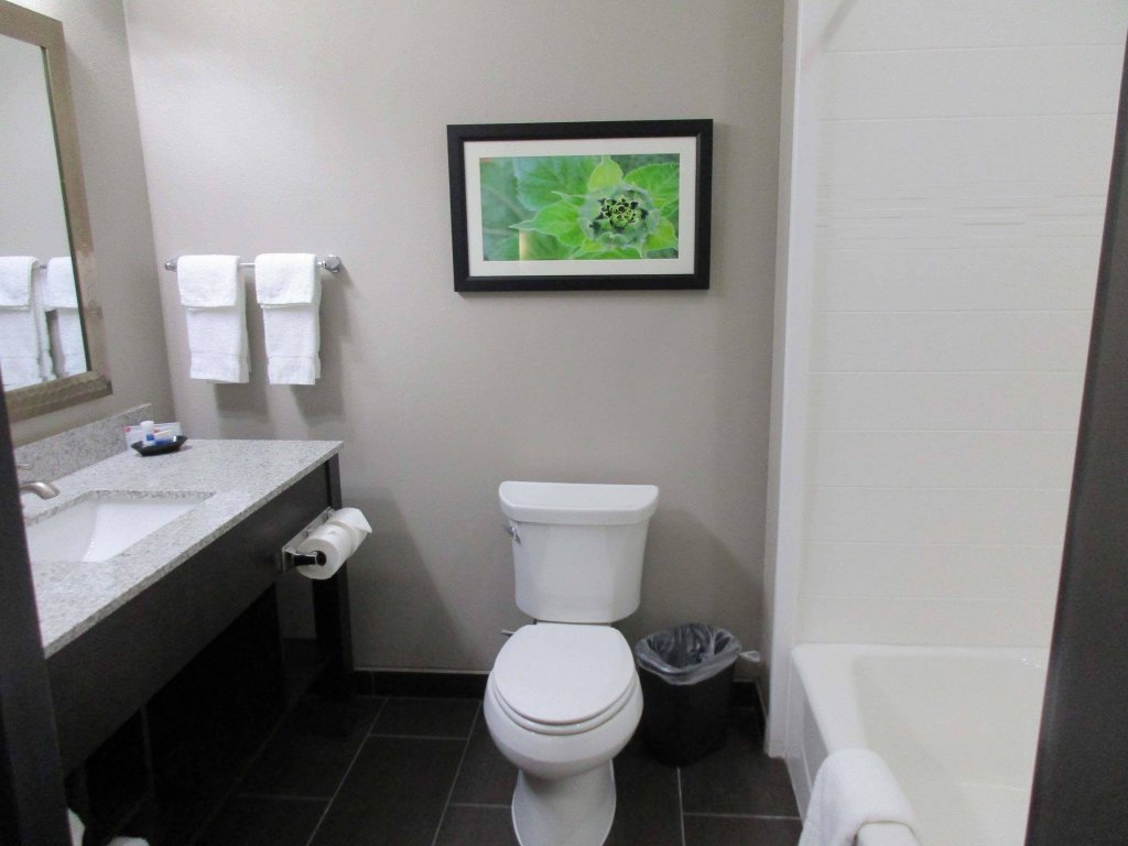 Фото Best Western Plus Tech Medical Center Inn