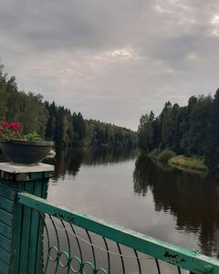 Солонцово