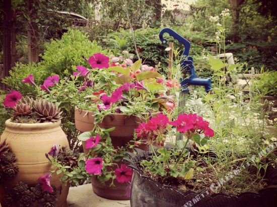 Фото Little House Nashville by Redawning