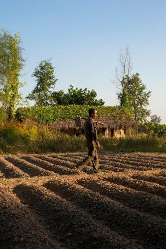 Гостиница Tigertops Karnali Lodge в Бхери