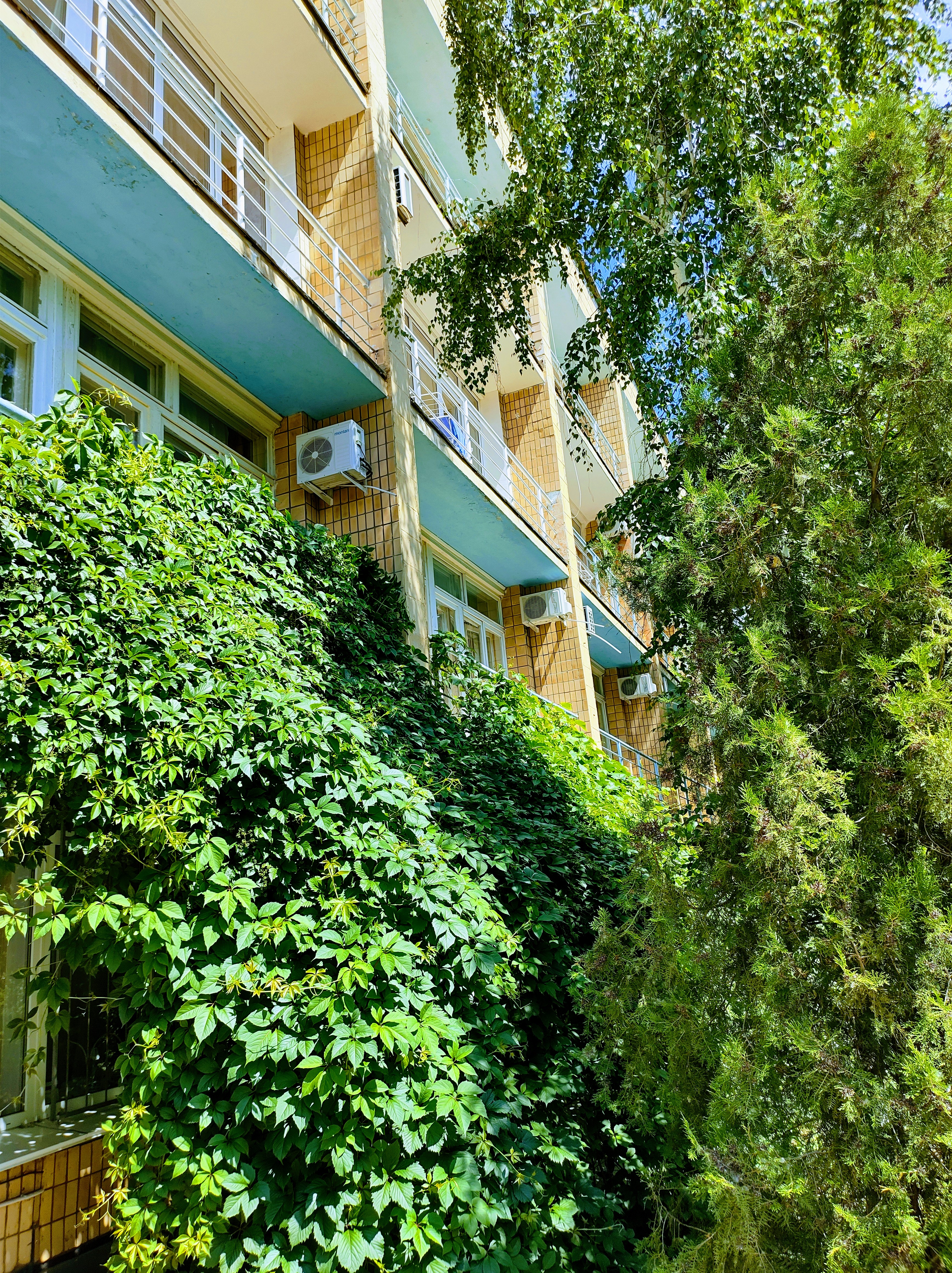 Фото Волжская Здравница