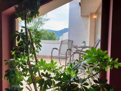 Фото National Palace Hotel