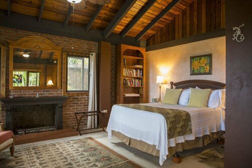 Гостиница Rainforest Inn