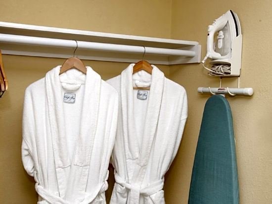 Фото Holiday Inn & Suites Chicago - Downtown