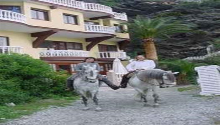 Фото отеля 4