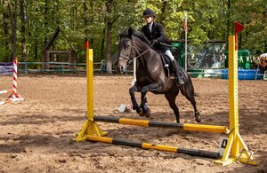 Legion (Samara, posyolok Upravlencheskiy, Vygonnaya ulitsa, 47А), club de caballos