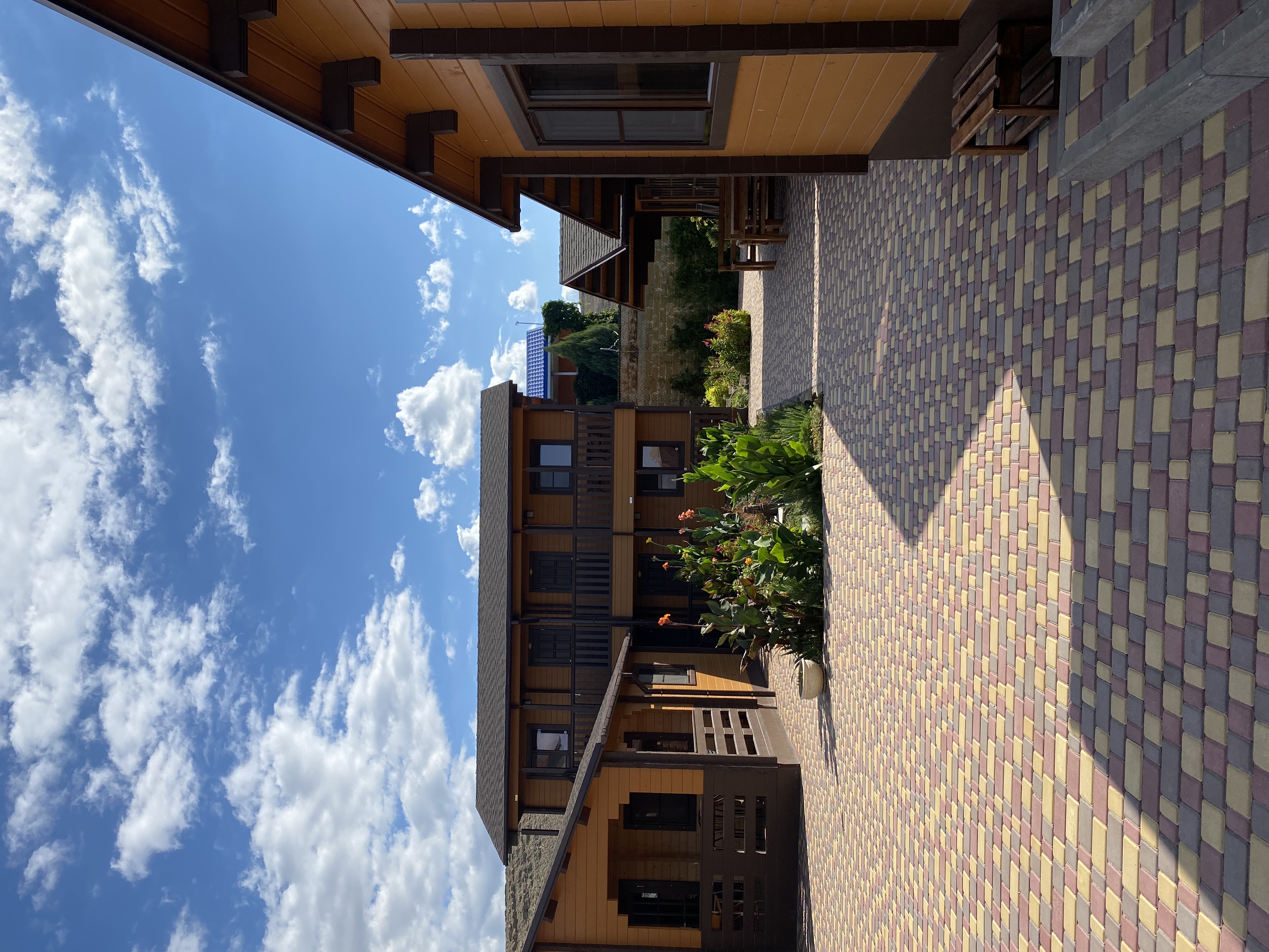 Фото Меганом