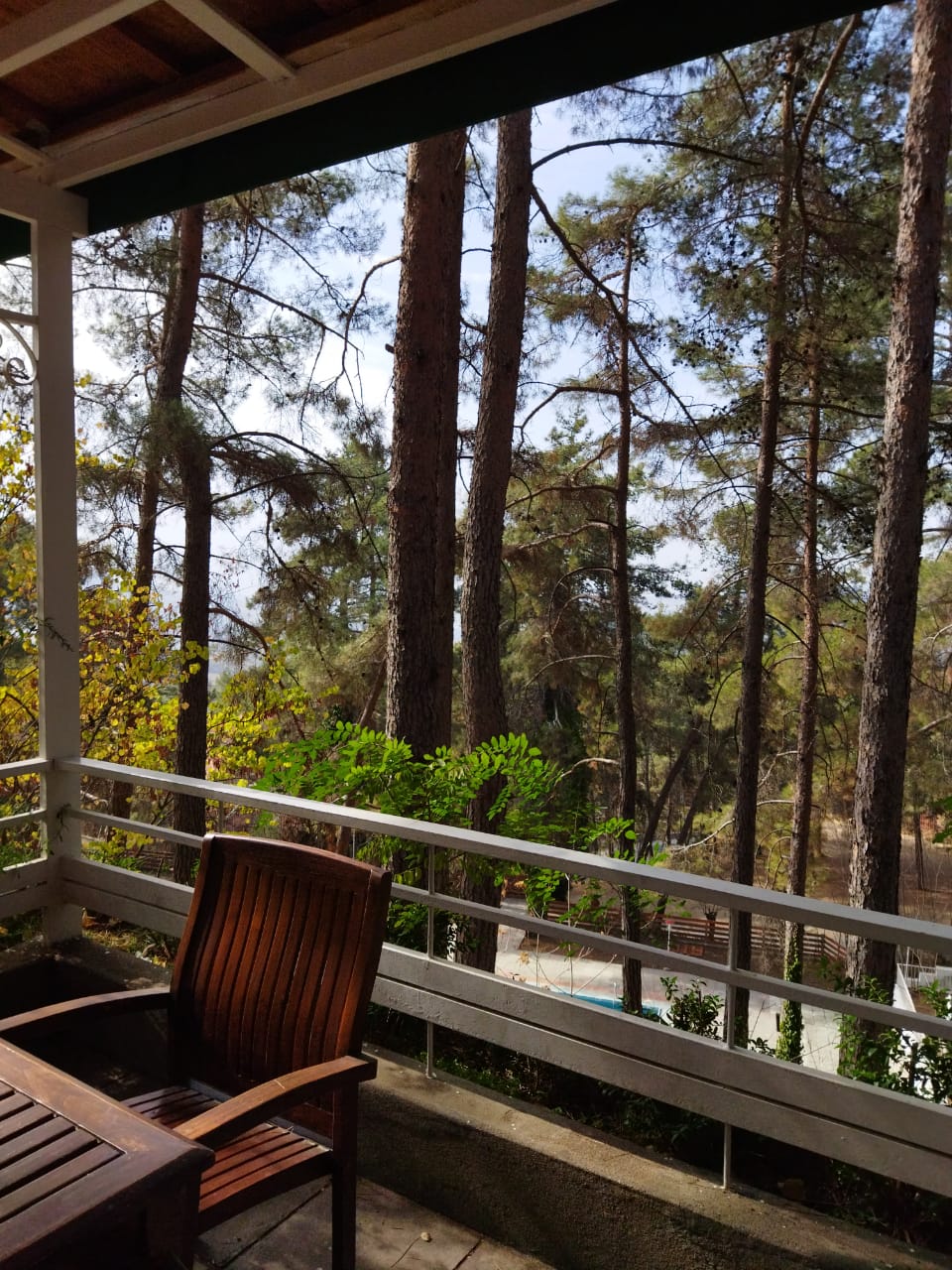 Фото Forest Park Hotel