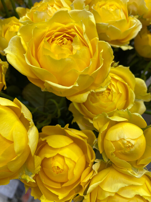 Олег Мамуков