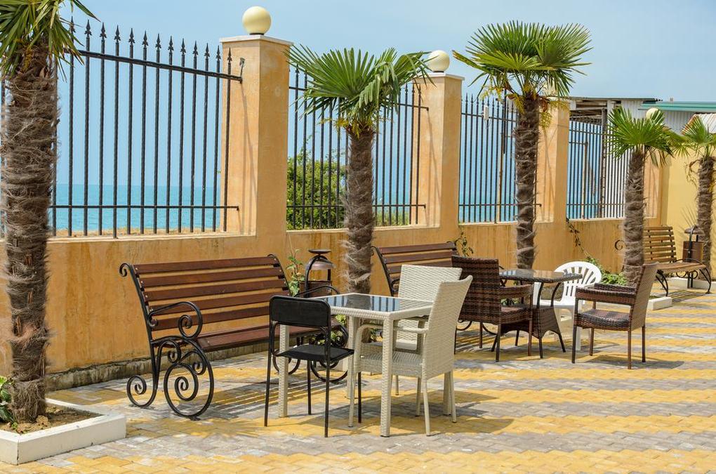 Фото Орхидея