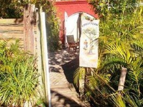 Фото Bamboo, the Guest House