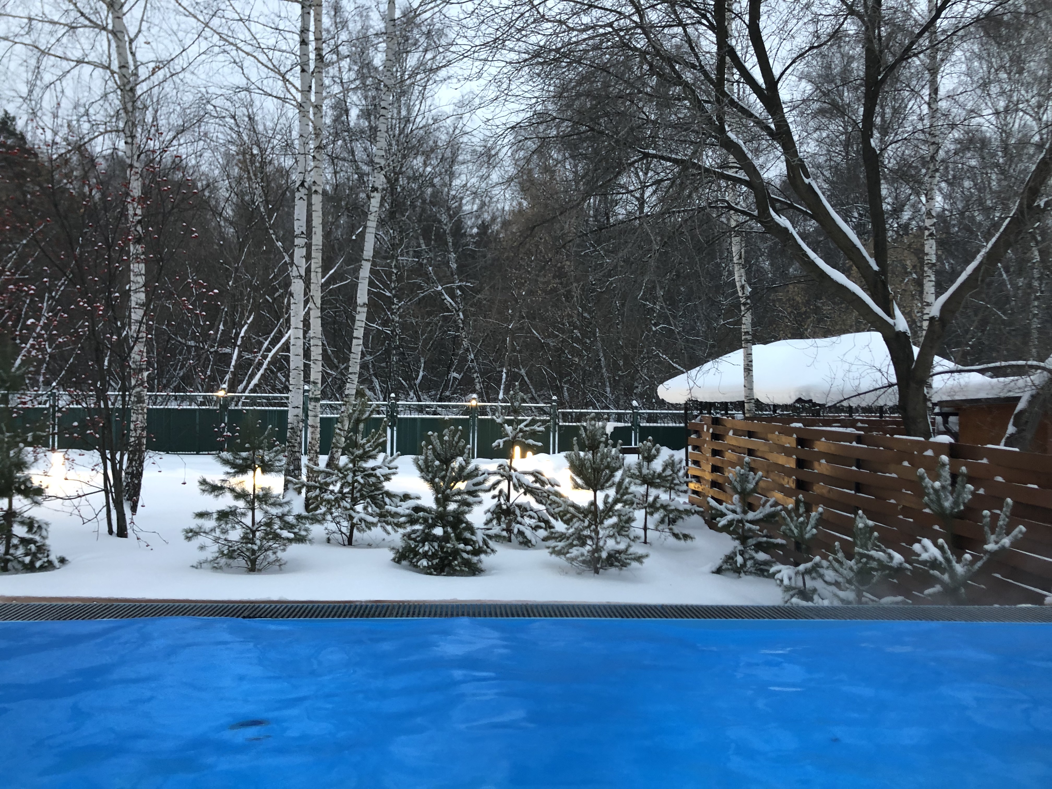 Фото Сосновый бор