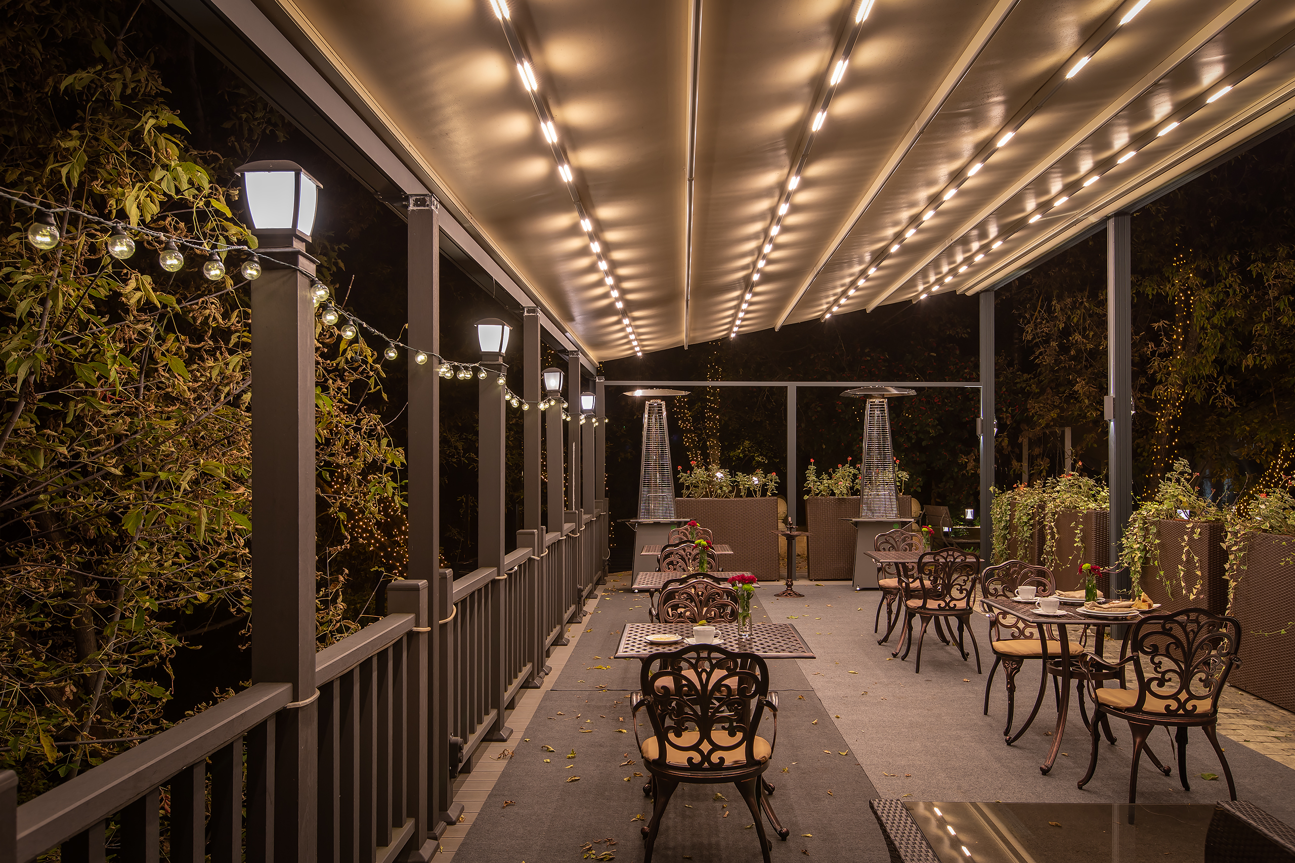 Фото Клевер