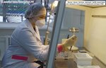 Лаборатория ПЦР и ИФА-диагностики Бирского межрайонного филиала ФБУЗ центр гигиены и эпидемиологии в Республике Башкортостан (Republic of Bashkortostan, Birsk, 200-y kvartal) ، مختبر طبي
