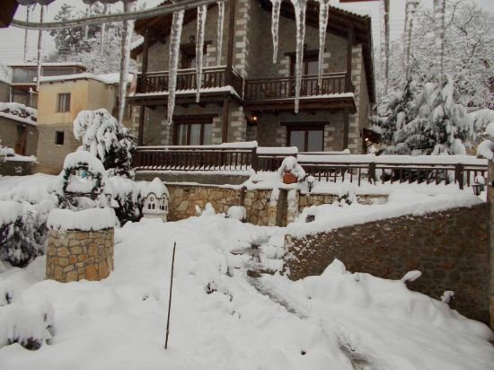 Фото Theasis Guesthouse