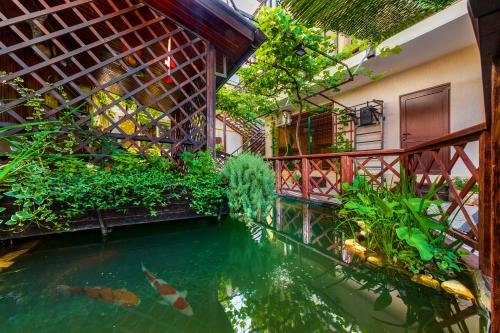 Фото Золотая рыбка