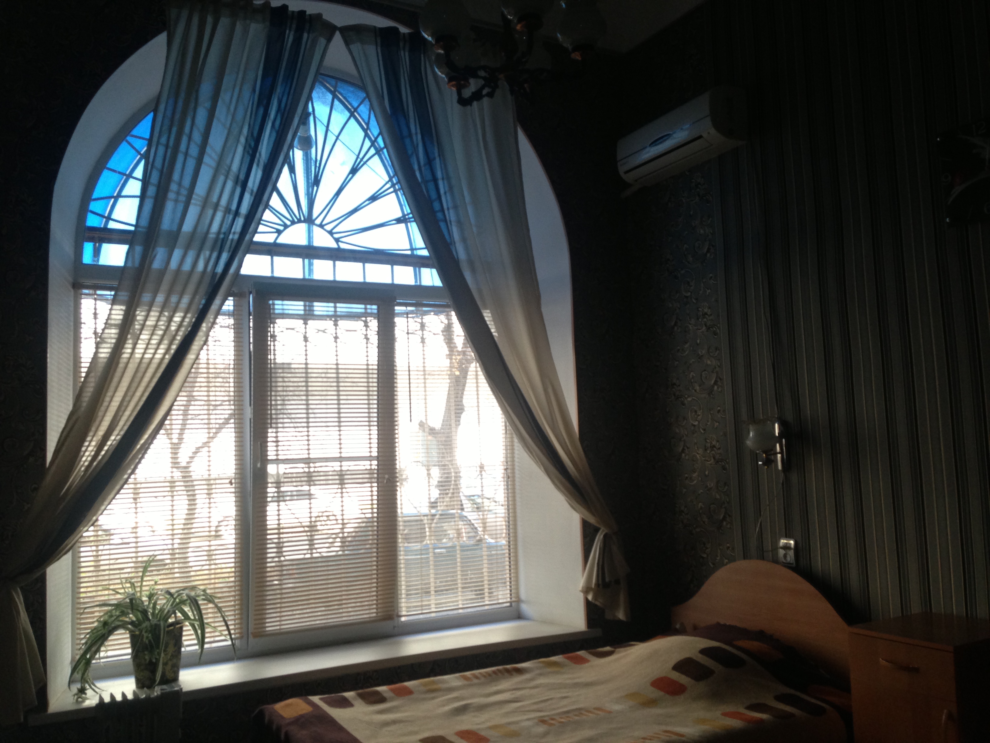 Фото Дельта