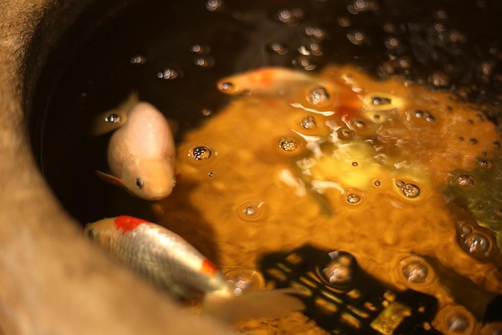 Фото Tamai Bekkan