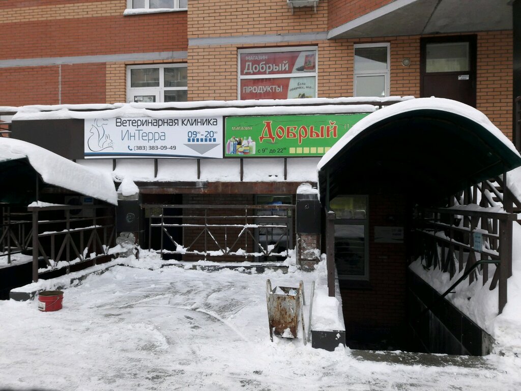 Ветеринарная клиника ИнТерра, Новосибирск, фото