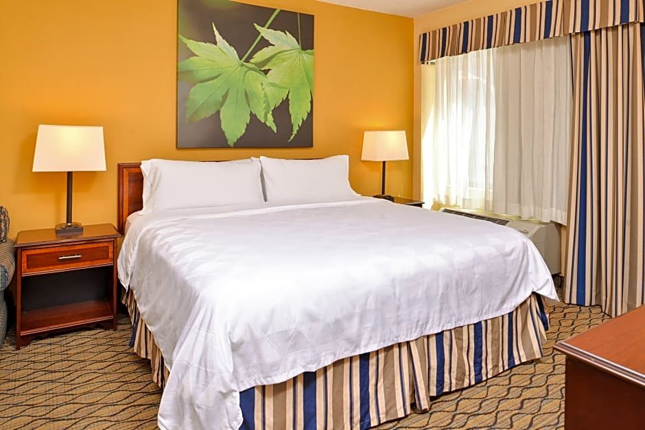 Фото Holiday Inn & Suites Chicago - Downtown