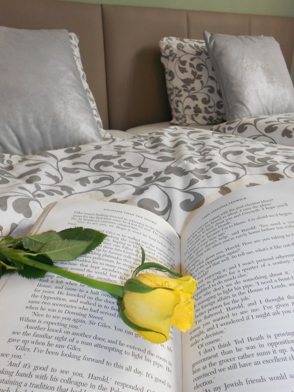 Фото Dan In'n Out