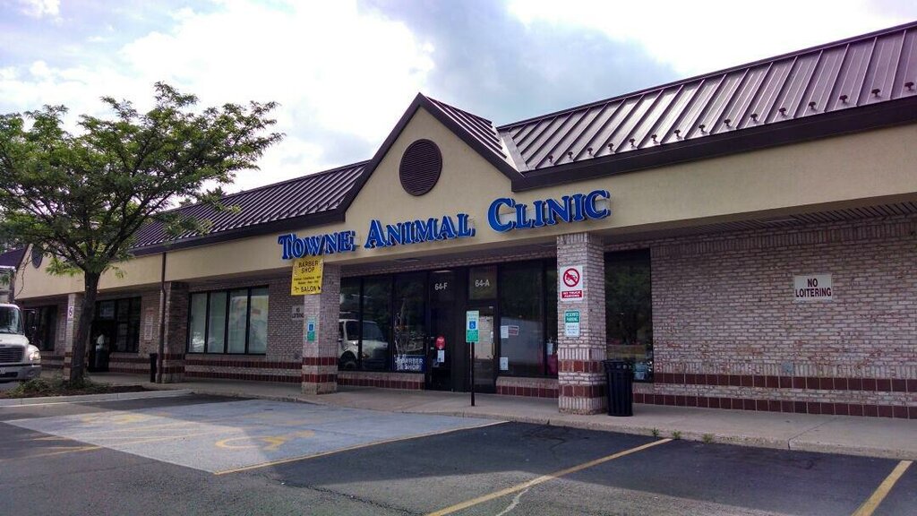 Veterinary drugs and equipment Towne Animal Clinic, Leesburg, photo