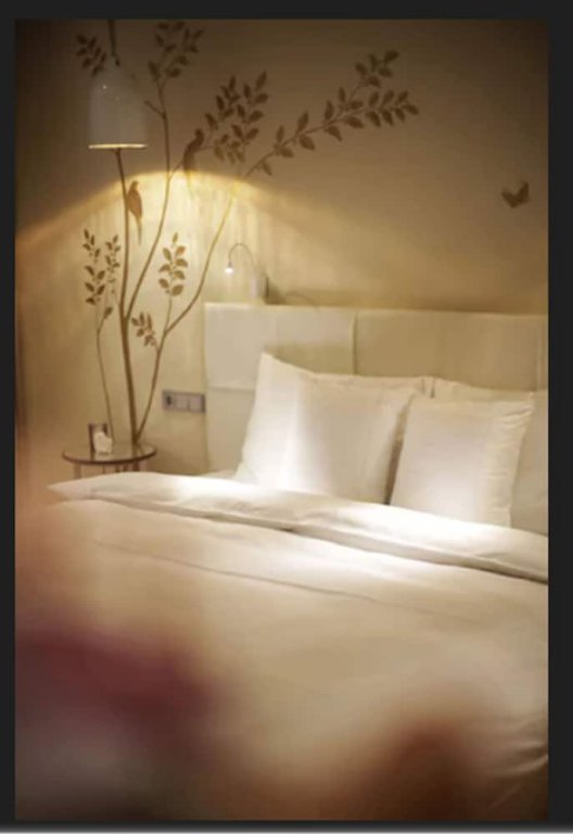 Фото Sans Souci Wien