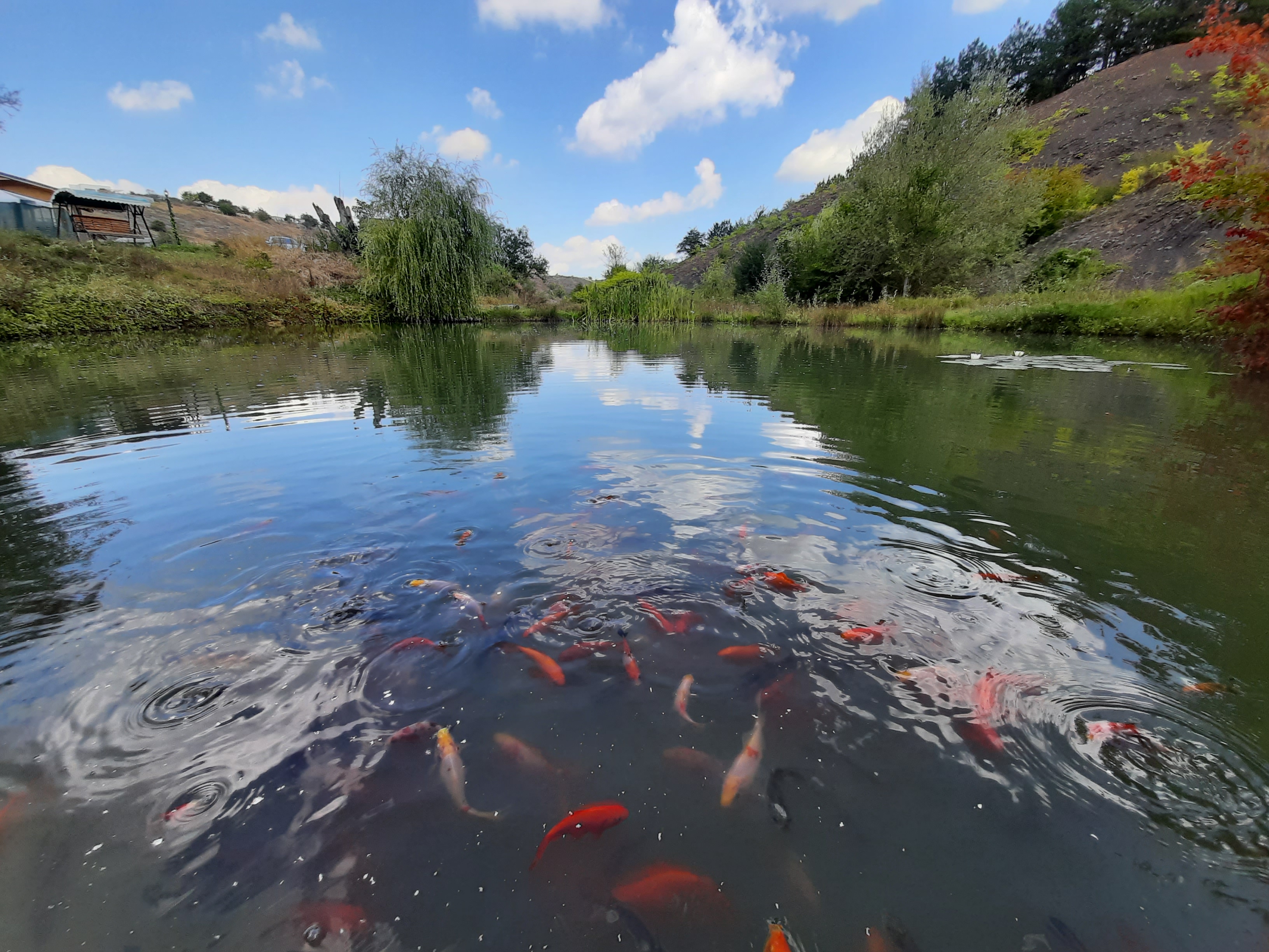 Фото Крым коттедж