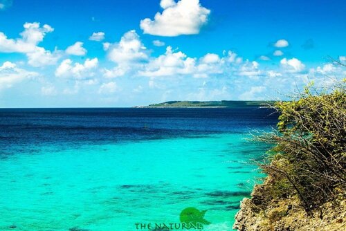 Гостиница The Natural Curacao - Clothing Optional