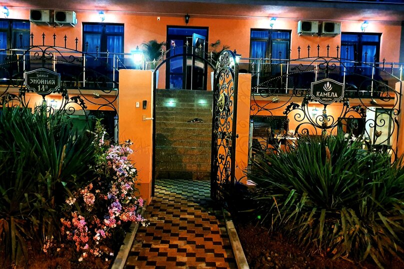 Фото Камела