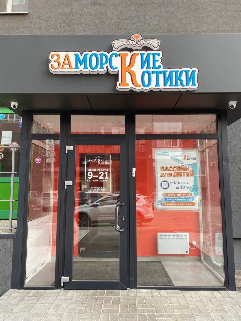 Заморские котики просп кирова 348 фото