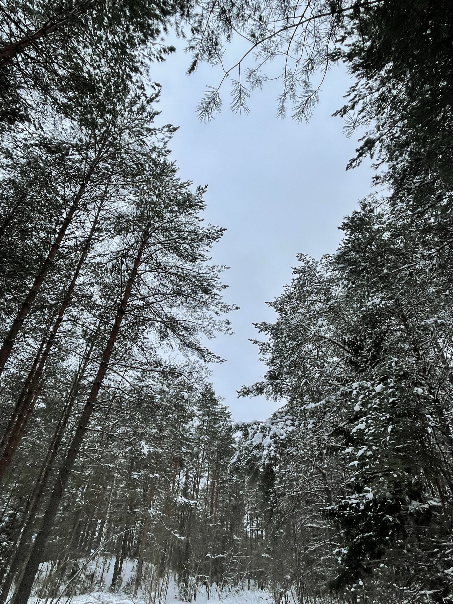 Фото Киногородок