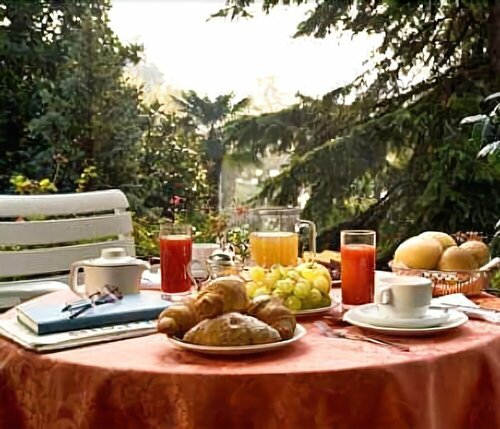 Гостиница Hotel Ariston Molino Buja в Абано-Терме